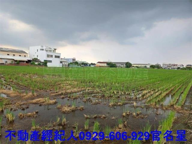 嘉義農地-1