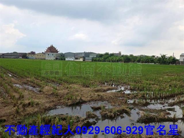 嘉義農地-2