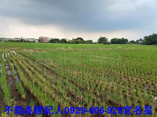 嘉義農地-4