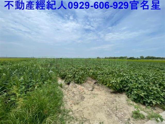 嘉義農地-3