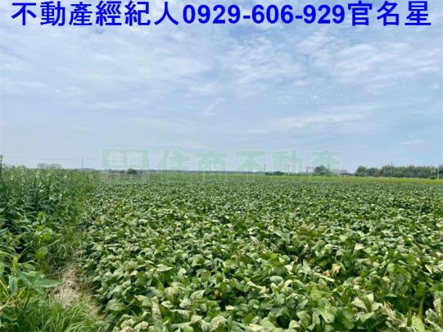 嘉義農地-4