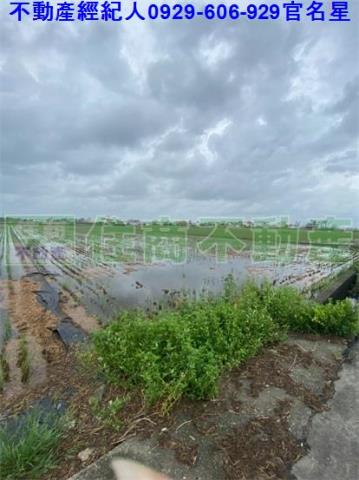 嘉義農地-4