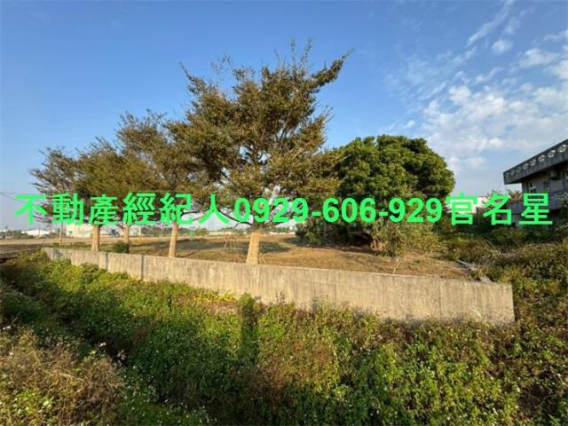 嘉義鹿草工業地-3